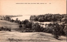 Androscoggin River from Southwest Bend Durham Maine Antique Postcard picture