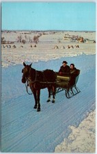 Postcard - Amish Horse-Drawn Sleigh, 