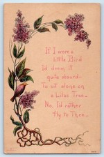 1913 Flowers If I Were A Little Bird I'd Deem It Quite Absurd Antique Postcard picture