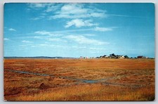 Vintage Postcard Eagle Hill & The Marshes Ipswich Massachusetts picture