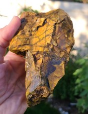 RARE 1.55  lb Top Quality Brecciated Jasper-Agate Rough *great colors* From Utah picture
