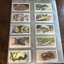 CIGARETTE CARDS. Wills Tobacco. THE SEA-SHORE. (1938). (Complete Set of 50). picture