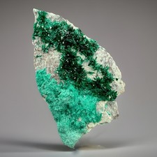 Radiating Brochantite & Malachite Xls: Milpillas Mine . Sonora , Mexico 🇲🇽 picture