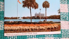 VINTAGE POST CARD FLOWERS IN BEAUTIFUL ORLANDO FLORIDA. picture