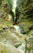 Watkins Glen NY Postcard 1967 Minnehaha Falls Curtain Cascade Austerchrome picture
