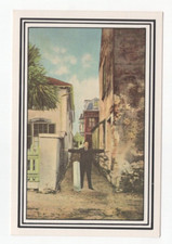 Postcard St. Augustine Fla. Treasury Street Unposted 1986 picture