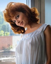 ACTRESS TINA LOUISE PIN UP - 8X10 PUBLICITY PHOTO (CP-126) picture