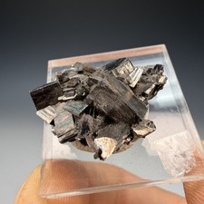 Enargite, Tramway Mine, Butte, Silver Bow Co, Montana, USA picture
