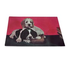 Vintage Plastichrome Miami Florida Puppy Postcard Unused 60s Spaniel Dogs P1495 picture