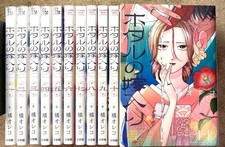 Firefly Wedding Hotaru no Yomeiri Manga Vol 1-11 Set Japanese Ver Japan picture