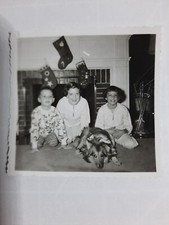 Vintage 1950s B&W Snapshot Photo  2 1/4