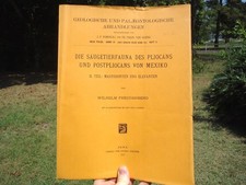 1922 THE MAMMALIAN FAUNA of PLIOCENE & POSTPLIOCENE MEXICO FOSSIL BOOK PAPER @@ picture