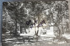 Mercer WI Pine Forest Lodge Spider Lake Real Photo RP Postcard Wisconsin picture