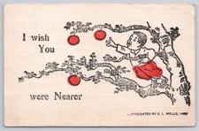 1908 R.L. Wells Comic Postcard 