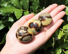 Septarian Palm Stones (Natural Septarian Pebble, Polished Septarian Crystals) picture