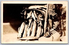 K40/ Interesting RPPC Postcard c1910 Americana Fly Fishing Basket Catch Fish 534 picture