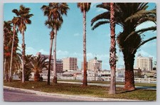 Vintage 1968 Tampa Florida Palm Tree Drive Skyscraper Skyline Postcard picture