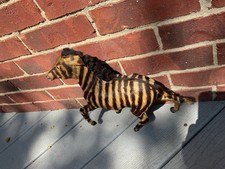 Vintage Rare Handmade Taxidermy ZEBRA Figurine Early 20th Century Real Fur picture