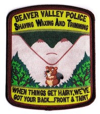 BEAVER VALLEY POLICE  SWAT  SERT  ERT picture