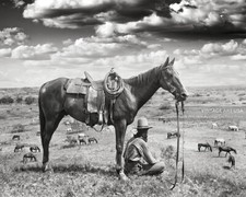 Vintage Texas Cowboy Photo 1910 Horse Wrangler Black and White 8x10 Photo Print picture