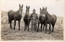 Man with Four Horses Cowboy RPPC Photo Postcard COPY picture