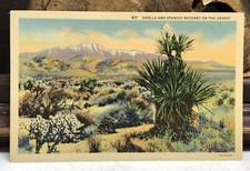 Vintage POSTCARD CHOLLA & SPANISH BAYONET ON THE DESERT LINEN UNPOSTED picture