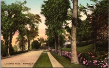Norfolk Connecticut Litchfield Road Hand Colored Postcard picture