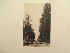 RPPC Brainerd Minnesota Postcard Drive thru the pines MN Real Photo picture
