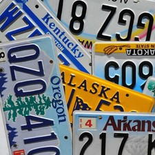 License Plate - ALL 50 STATES + Countries NICE License Plates Lot   picture