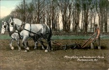 Portsmouth RI Ploughing c1900s-10s Vintage Postcard picture