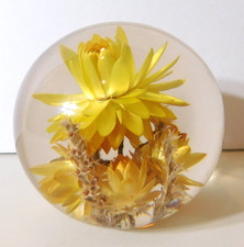 VTG Hafod Grange Botanical Paperweight Lucite Resin Yellow Helichrysum picture