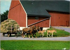 Amish Horse Drawn Farm Hay Wagon Pennsylvania Lancaster area c1983 Postcard picture