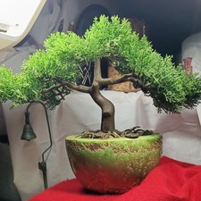 Artificial Bonsai Tree Japan picture