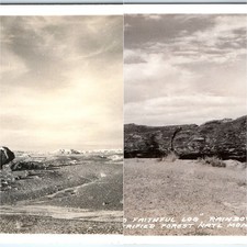 x2 LOT c1940s Petrified Forest, AZ RPPC Postcard Old Faithful Log Waste Lands picture