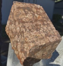 FLOWER JASPER ORBICULAR RARE STRIKING LARGE BLOCK 3.85 Lbs - 1.590 KiLOS MEXICO picture
