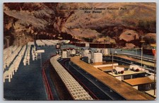 Carlsbad Caverns National Park New Mexico Lunch Room Curt Teich Postcard PC304 picture