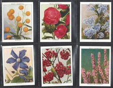 1938 W. D. & H. O. WILLS GARDEN FLOWERS NEW VARIETIES 40 TOBACCO CARD SET picture
