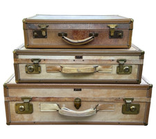 Vintage Hartmann Luggage Set Skymate Khaki Tan Storage Coffee Table picture