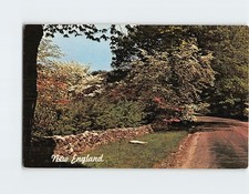 Postcard Rustic stone wall New England USA picture