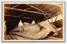MOSS LANDING CA Pacific Whaling CO. ~ SANTA FE Railroad to Chanute Kansas picture
