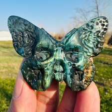 Natural Labradorite Hand Carved Butterfly Skull Quartz Crystal Specimen Healing picture