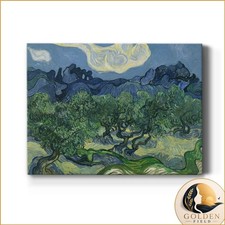 Renditions Gallery Olive Trees by Vincent Van Gogh Canvas Print 36x48 in Ready picture