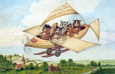 Louis Wain Cats: Aerobus Service Vintage Reproduction Postcard picture