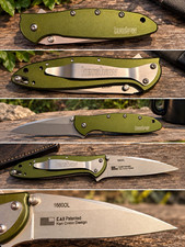 Kershaw Leek 1660OL Green Assisted Pocketknife SS Drop Point Plain Frame Clip picture