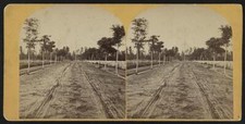 National cemetery, Andersonville, Georgia Old Historic Photo picture