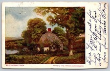 New York UDB Postcard Old Homestead Sunday American Journal Examiner 1906 picture