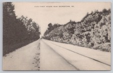 State Forest Reserve Near Georgetown Delaware C1930s Postcard AH18 picture