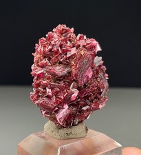 ERYTHRITE CRYSTALS FROM BOU AZZER MINE, MOROCCO picture