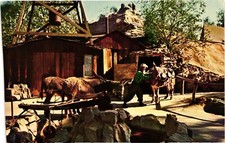 Vintage Roy The Old Prospector Knott's Berry Farm California Postcard Unposted picture