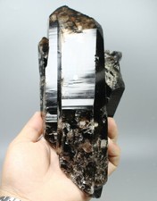 3.75lb Natural Rare Beautiful Black QUARTZ Crystal Cluster Mineral Specimen picture